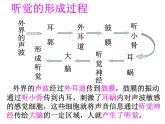 4.6.2神经系统的组成课件2023-2024学年人教版生物七年级下册