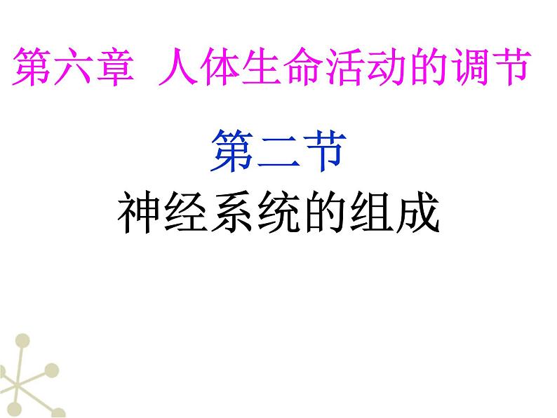 4.6.2神经系统的组成课件2023-2024学年人教版生物七年级下册第6页