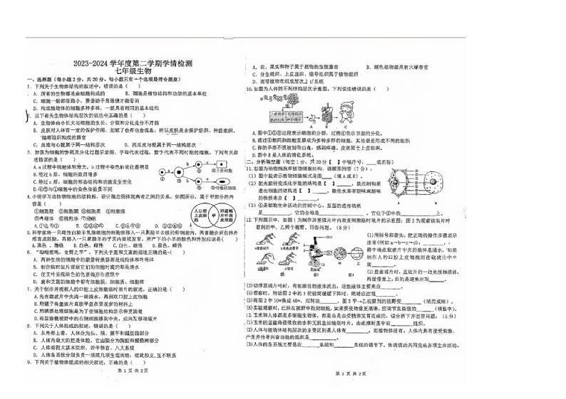 江苏省徐州市东苑中学2023-2024学年七年级下学期3月月考生物试题第1页