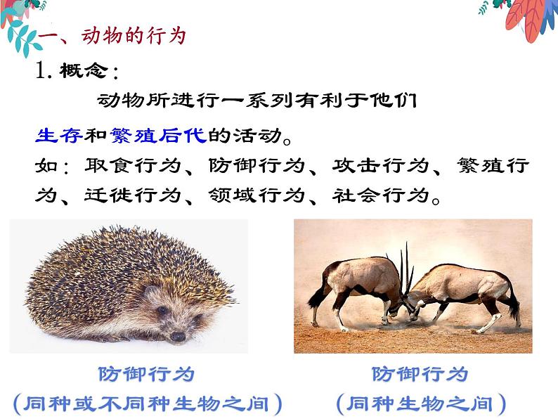 5.2.2先天性行为和学习行为课件2023-2024学年人教版生物八年级上册第4页