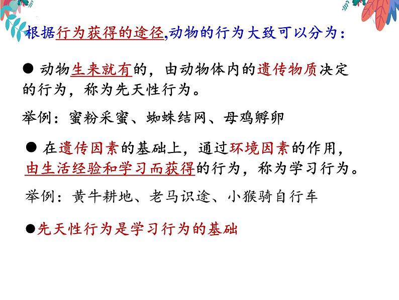 5.2.2先天性行为和学习行为课件2023-2024学年人教版生物八年级上册第5页