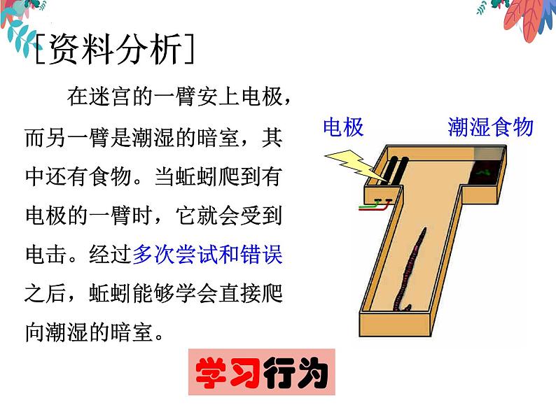 5.2.2先天性行为和学习行为课件2023-2024学年人教版生物八年级上册第6页