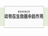 5.3动物在生物圈中的作用课件2023-2024学年人教版生物八年级上册