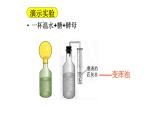 5.4.5人类对细菌和真菌的利用课件2023-2024学年人教版生物八年级上册
