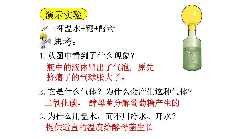 5.4.5人类对细菌和真菌的利用课件2023-2024学年人教版生物八年级上册第5页