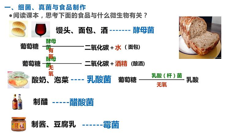 5.4.5人类对细菌和真菌的利用课件2023-2024学年人教版生物八年级上册第8页