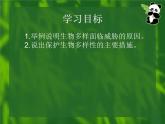 9.2.2保护生物多样性课件2023--2024学年鲁科版生物八年级下册