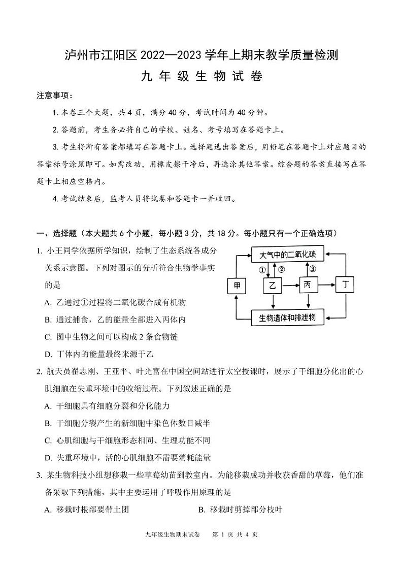 四川省泸州市江阳区2022-2023学年九年级上学期期末考试生物试题01