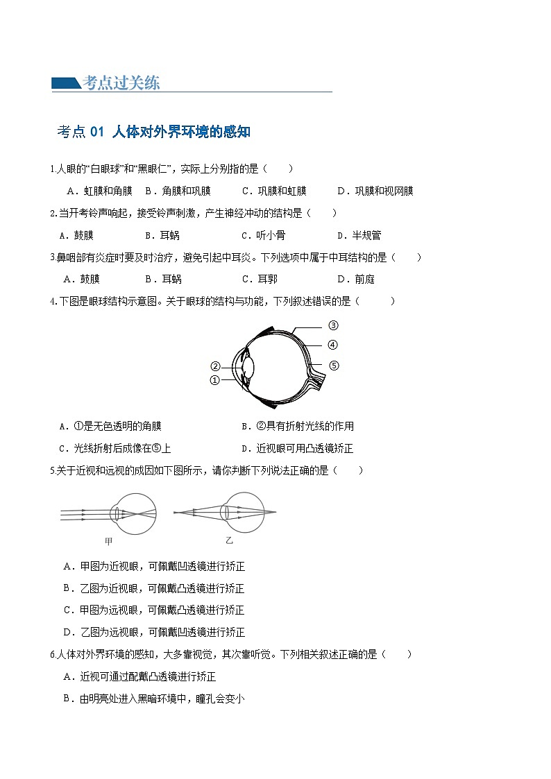 专题14 人体生命活动的调节（练习，4大考点）-2024年中考生物一轮复习课件+讲义+练习 （全国通用）02