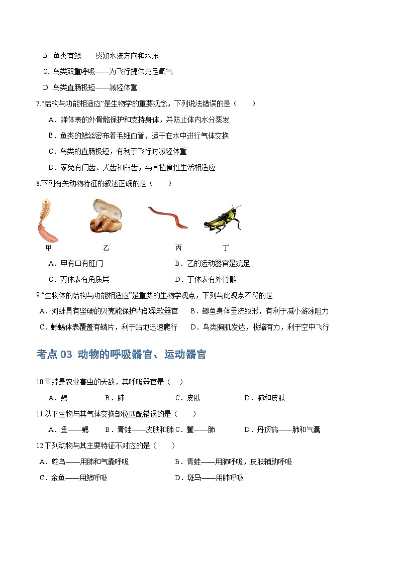 专题16 动物的主要类群（练习）（原卷版）第3页