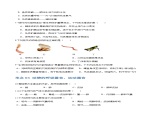 专题16 动物的主要类群（练习，4大考点）-2024年中考生物一轮复习课件+讲义+练习 （全国通用）