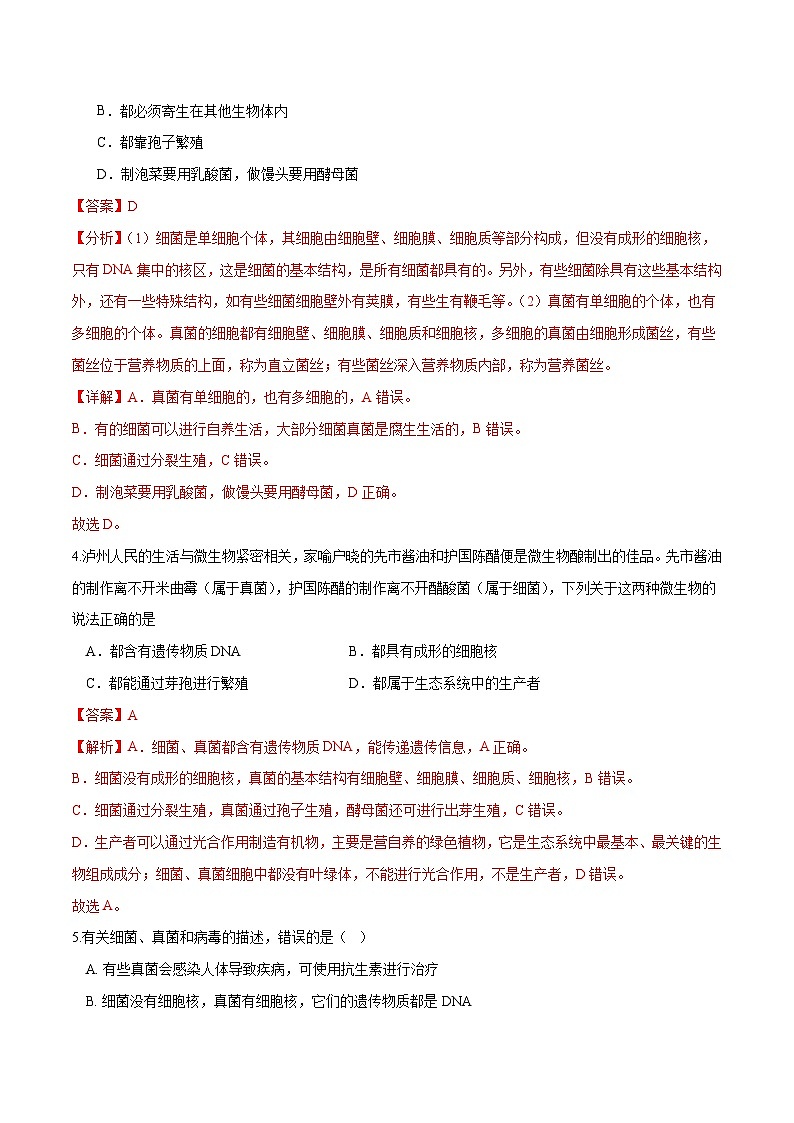 专题18 细菌、真菌和病毒（练习，3大考点）-2024年中考生物一轮复习课件+讲义+练习 （全国通用）03