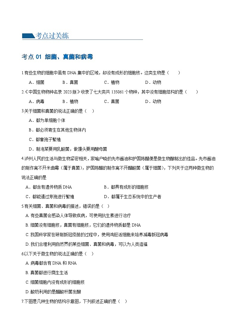 专题18 细菌、真菌和病毒（练习，3大考点）-2024年中考生物一轮复习课件+讲义+练习 （全国通用）02