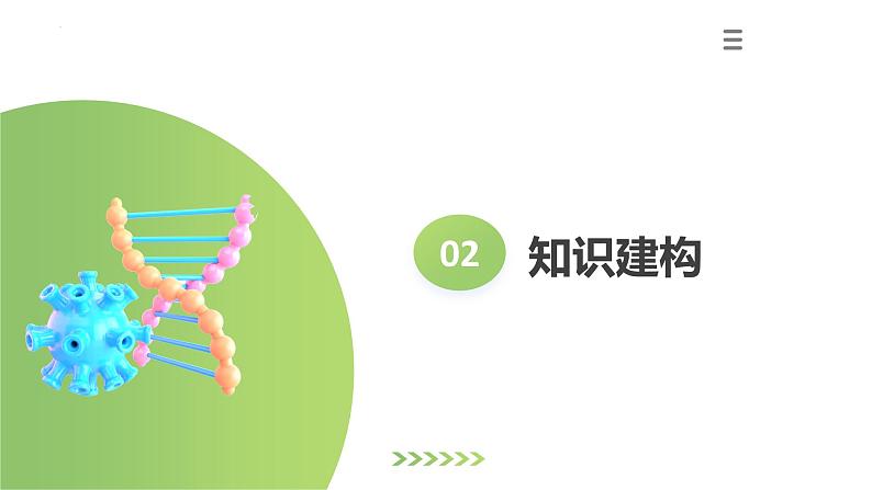 专题13 人体内废物的排出（课件）+-2024年中考生物一轮复习课件（全国通用）07