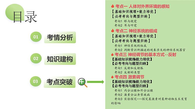 专题14 人体生命活动的调节（课件）+-2024年中考生物一轮复习课件（全国通用）第4页