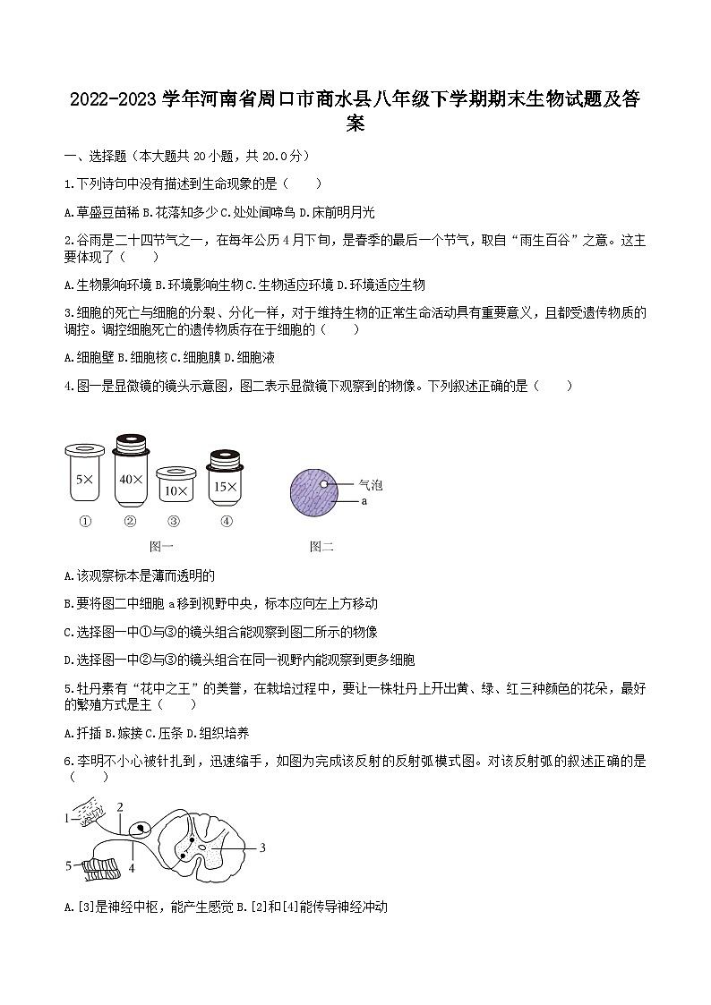 2022-2023学年河南省周口市商水县八年级下学期期末生物试题及答案01