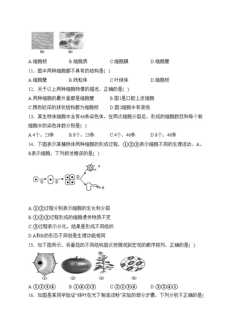 福建省龙岩市2023-2024学年七年级上学期期末质量监测生物试卷(含答案)第2页