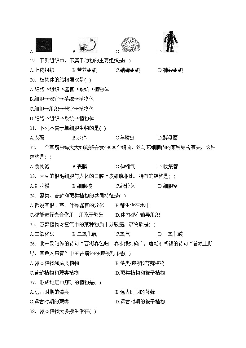 黑龙江省七台河市勃利县2022-2023学年七年级上学期期末考试生物试卷(含答案)第3页