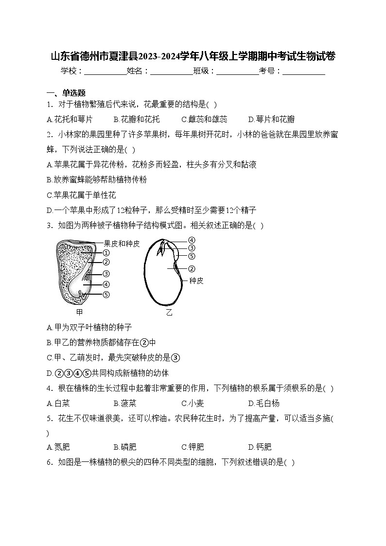 山东省德州市夏津县2023-2024学年八年级上学期期中考试生物试卷(含答案)01