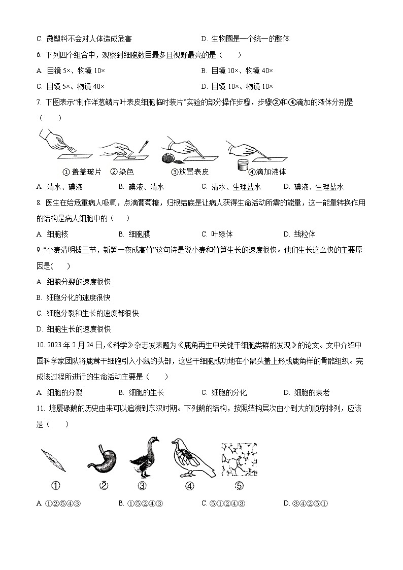 精品解析：广东省东莞市2023-2024学年七年级上学期期末生物试题（原卷版）第2页