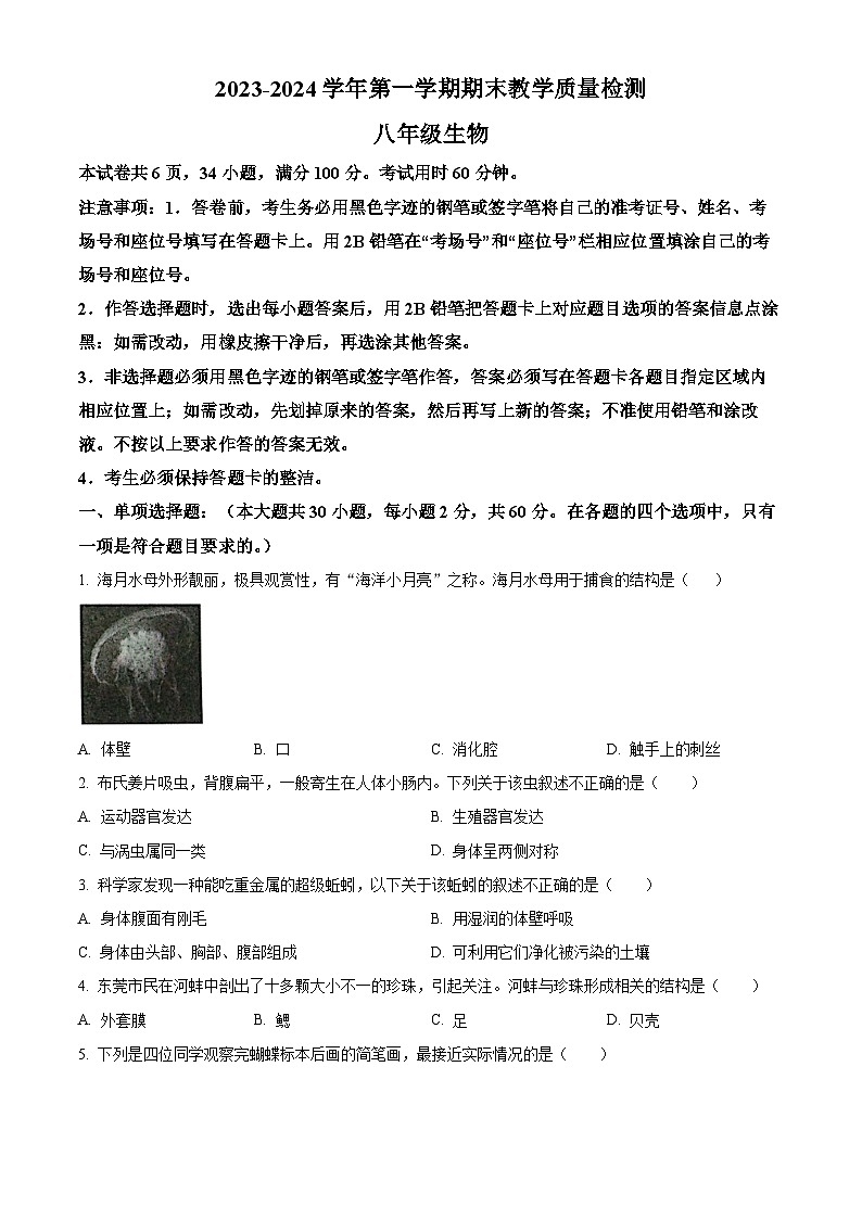 广东省东莞市东城街道2023-2024学年八年级上学期生物期末生物试题（原卷版+解析版）01