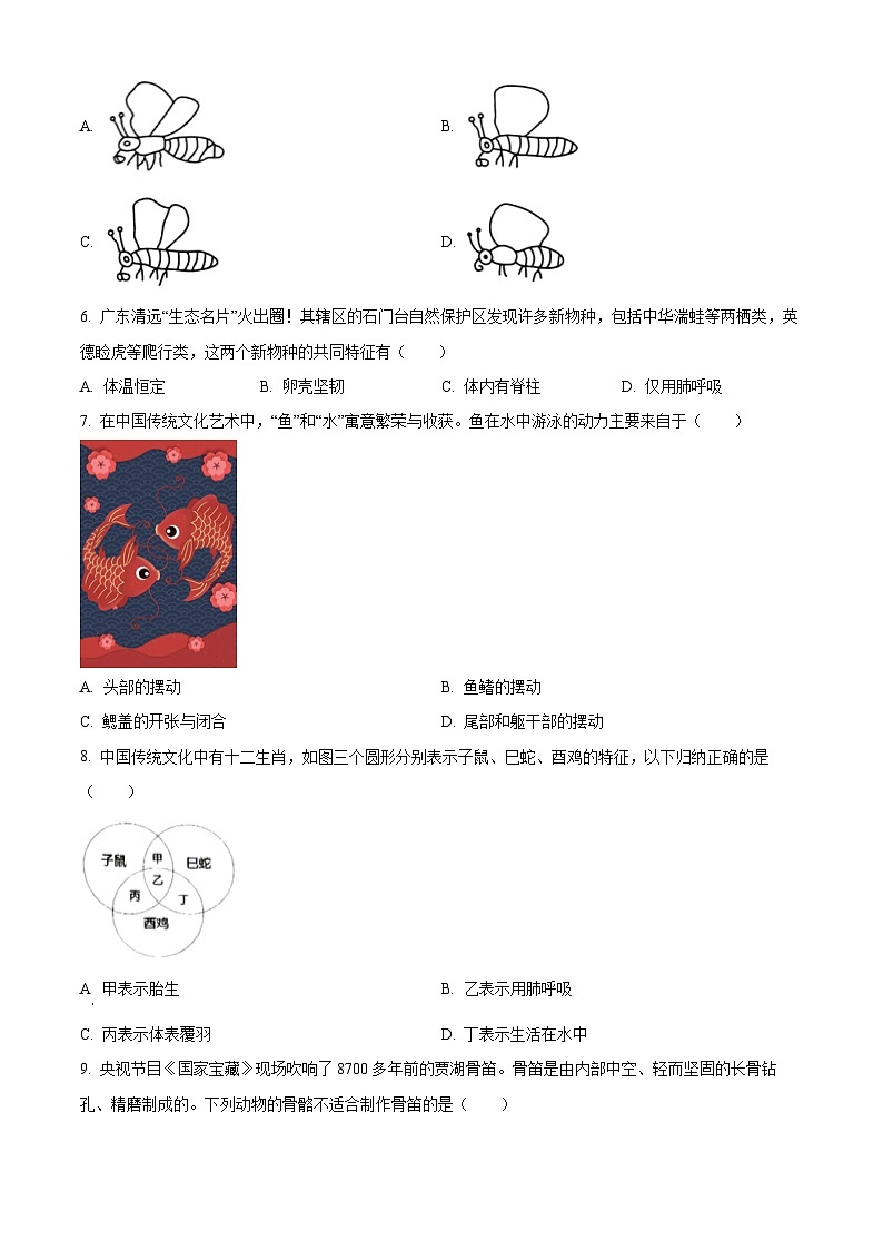 广东省东莞市东城街道2023-2024学年八年级上学期生物期末生物试题（原卷版+解析版）02