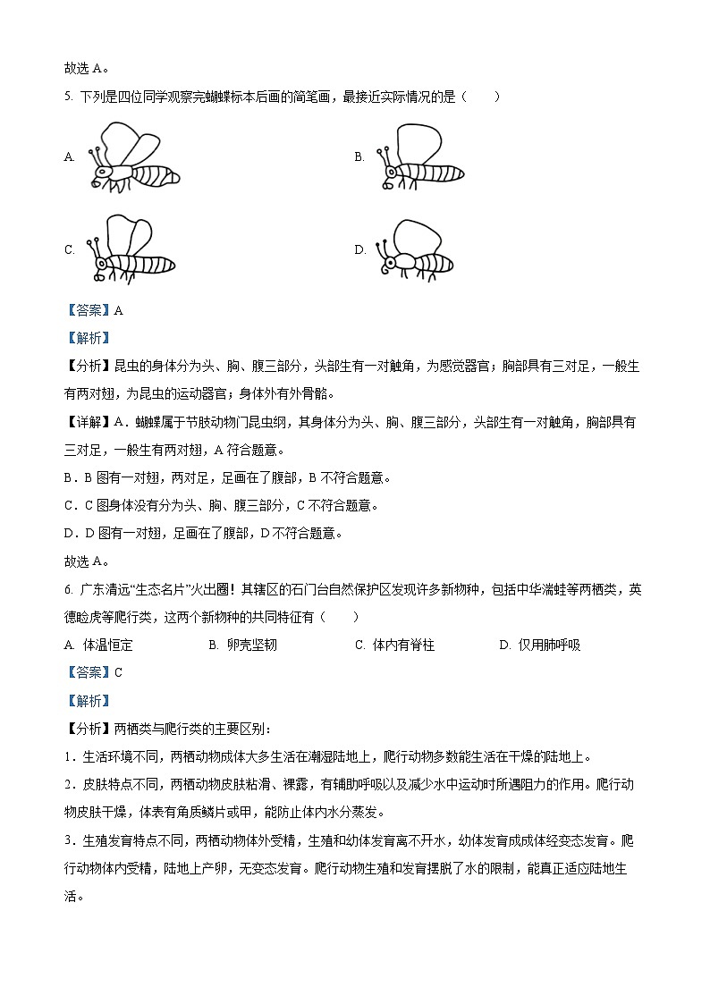 广东省东莞市东城街道2023-2024学年八年级上学期生物期末生物试题（原卷版+解析版）03
