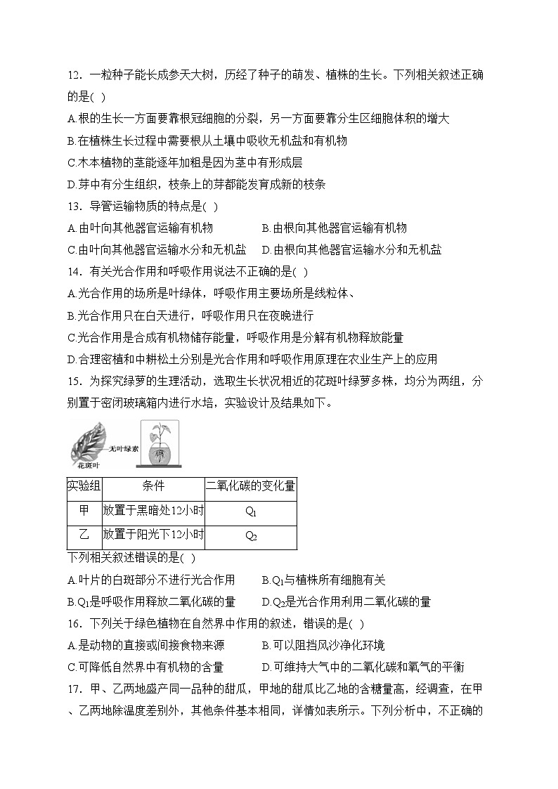 湖北省黄石市阳新县2023-2024学年七年级上学期期末质量检测生物试卷(含答案)第3页