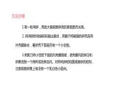 7.1.4++鸟的生殖和发育++课件-2023-2024学年人教版生物八年级下册