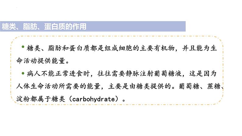 4.2.1++食物中的营养物质++课件-2023-2024学年人教版生物七年级下册第5页