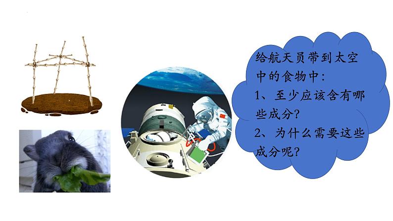 4.2.1++食物中的营养物质++课件-2023-2024学年人教版生物七年级下册 (1)第2页