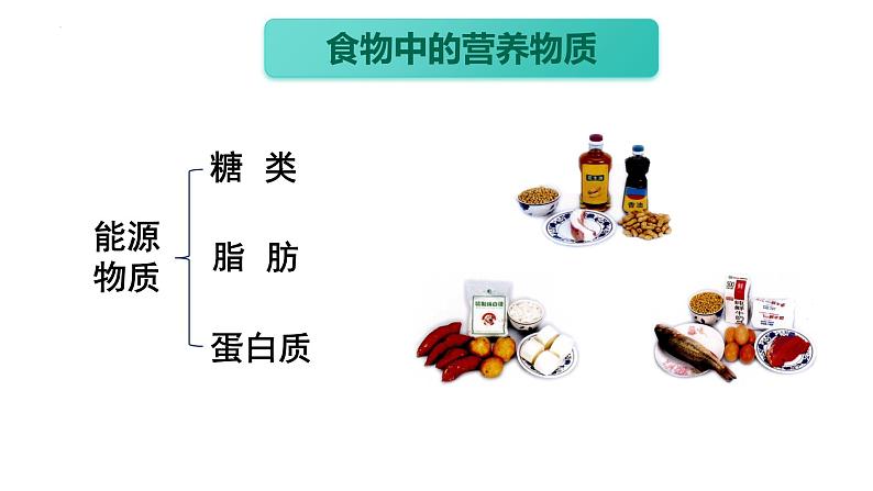 4.2.1++食物中的营养物质++课件-2023-2024学年人教版生物七年级下册 (1)第6页