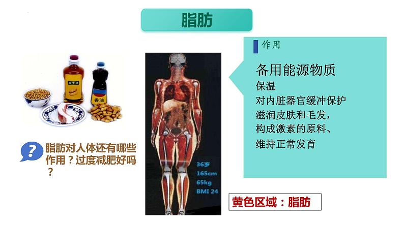 4.2.1++食物中的营养物质++课件-2023-2024学年人教版生物七年级下册 (1)第8页