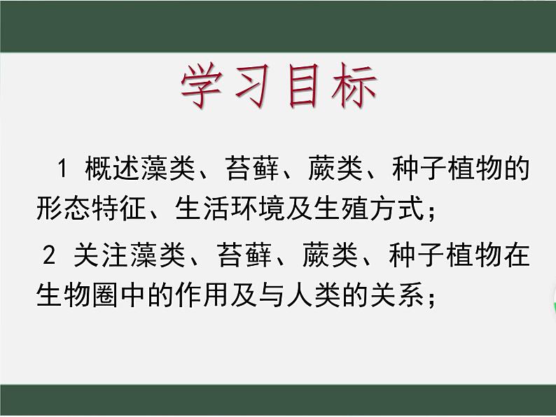 2.1.1++绿色植物的主要类群++课件-2023-2024学年济南版生物七年级上册第4页