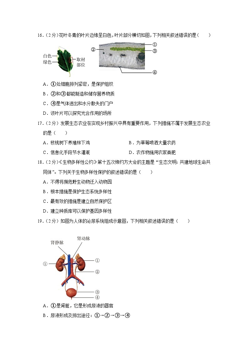 海南省东方市港务中学2022-2023学年八年级下学期6月份月考生物试卷+第3页