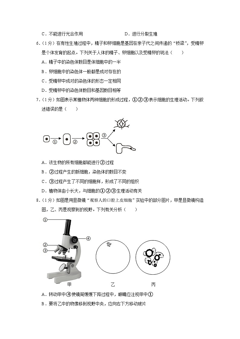 山东省青岛市胶州市瑞华中学2022-2023学年八年级下学期月考生物试卷+02