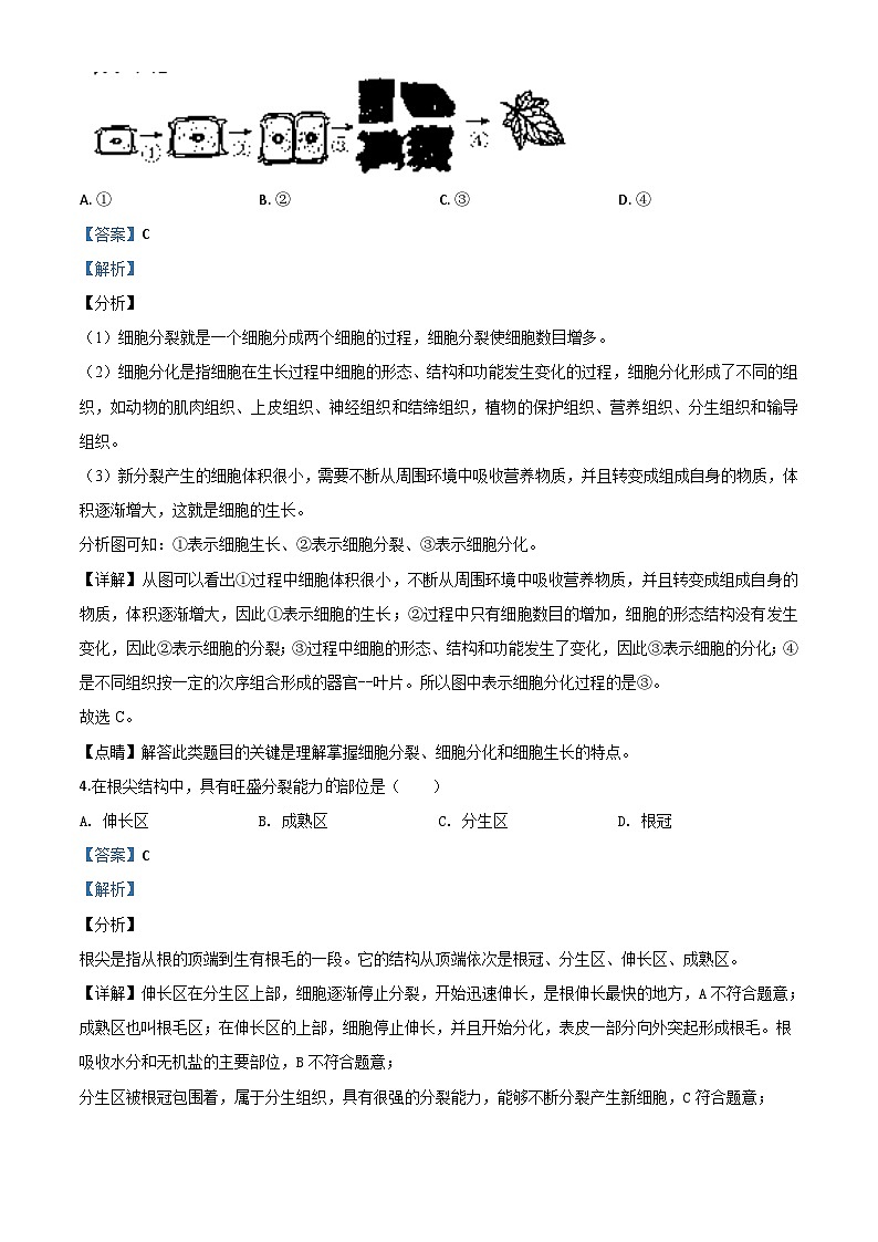 辽宁省营口市2020年中考生物试题（含解析）02