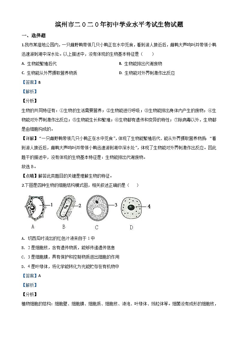 山东省滨州市2020年中考生物试题（含解析）01