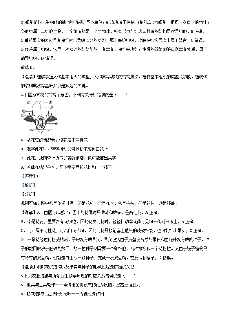 山东省滨州市2020年中考生物试题（含解析）03