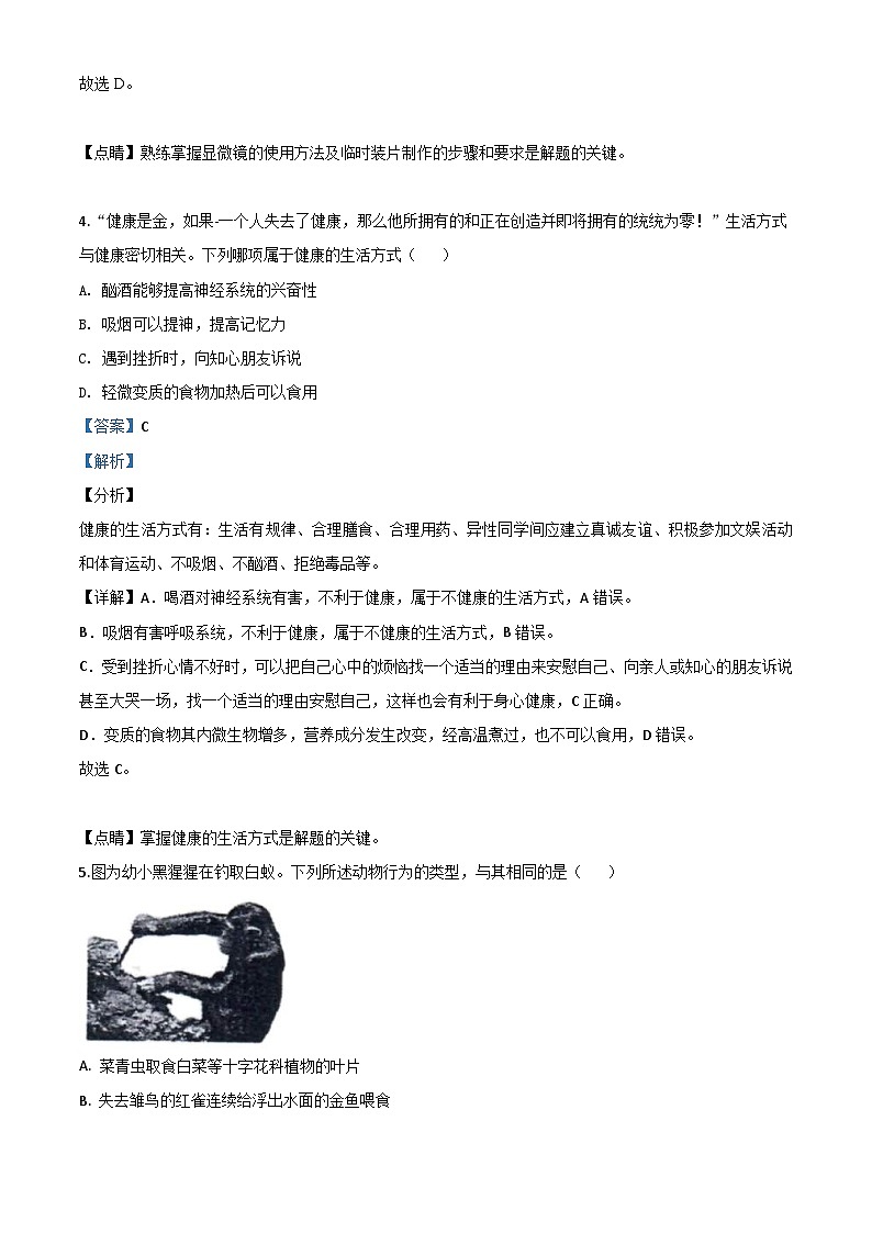 山东省东营市2020年中考生物试题（含解析）03