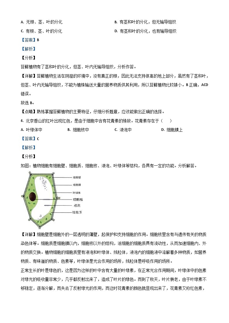 山东省日照市2020年中考生物试题（含解析）02