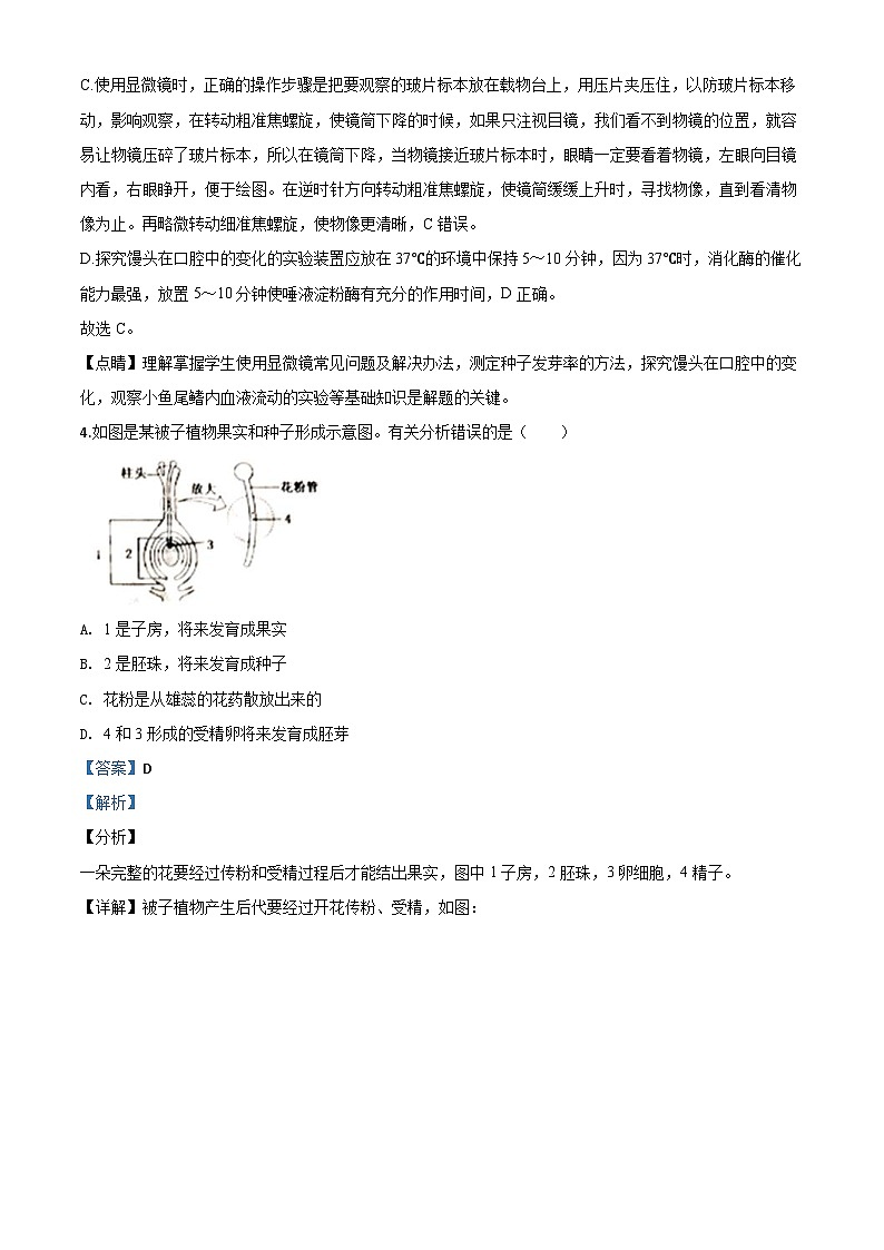 山东省泰安市2020年中考生物试题（含解析）03
