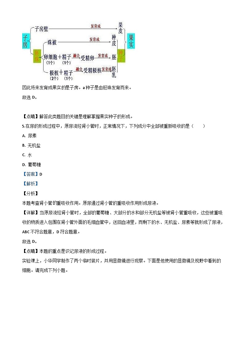山西省阳泉市2020年中考生物试题（含解析）03