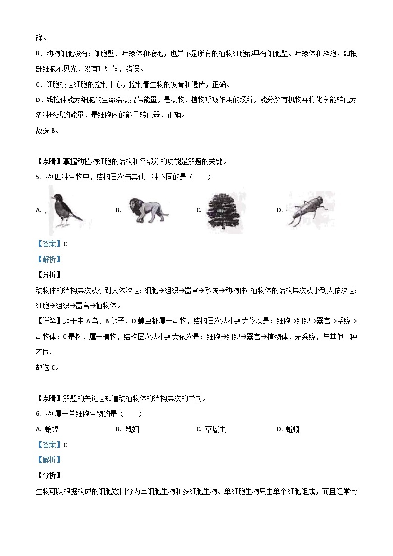 云南省2020年中考生物试题（含解析）03