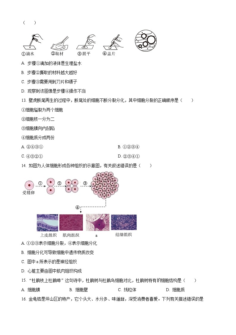 精品解析：广东省深圳市坪山区2023-2024学年七年级上学期期末生物试题（原卷版）第3页