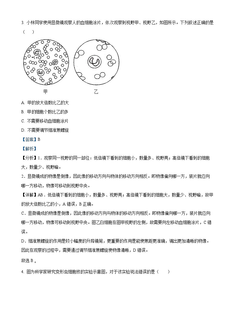精品解析：广西河池环江县2023-2024学年七年级上学期期末考试生物试题（解析版）第2页