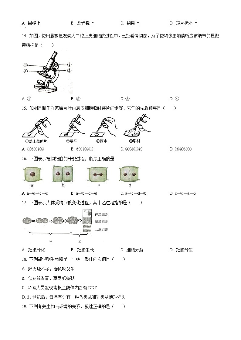 精品解析：广东省广州市天河区2022-2023学年七年级上学期期末生物试题（原卷版）第3页