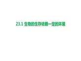 23.1生物的生存依赖一定的环境课件2023--2024学年北师大版生物八年级下册