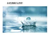23.1生物的生存依赖一定的环境课件2023--2024学年北师大版生物八年级下册