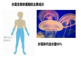 23.1生物的生存依赖一定的环境课件2023--2024学年北师大版生物八年级下册
